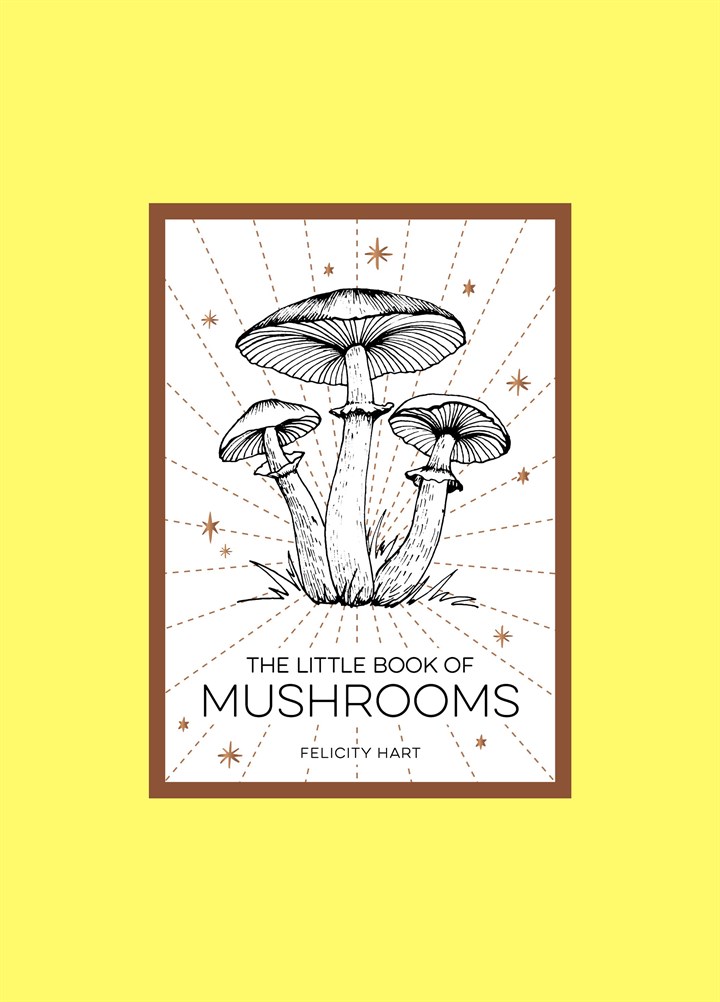 Little Book of Mushrooms Book